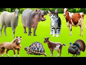 Cute Farm Animals – Cow, Goat, Horse, Sheep, Rabbit, Dog, Cat & Duck | Relaxing Animal Sounds Video
