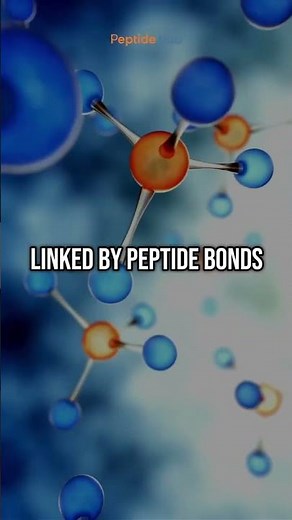 What Are Peptides? | Science, Research, and Laboratory Applications Explained