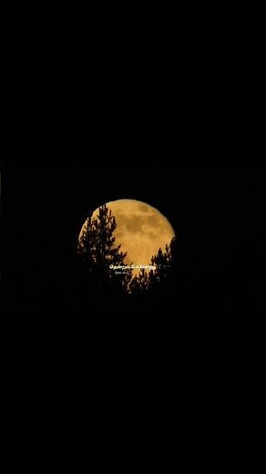 ❣️✨️nila kaigirathu song with lyrics | Music A.R.Rahman | Lyrics Vairamuthu | Indira | haranview