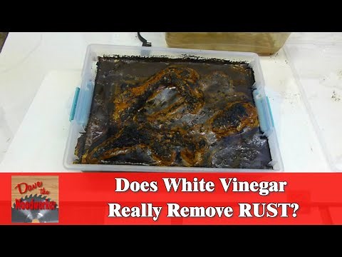 Does White Vinegar Really Remove RUST?