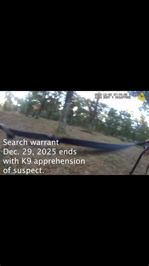 This K-9 apprehension is coming out of Putnam County Sheriff's Office, Florida. Deputies along with SWAT moved in on a well known drug house. The St John’s Sheriff’s Office was also brought in to assist, due to known firearms being involved. A wanted man, Foley, not Axel Foley fled on a four wheeler. After crashing the four wheeler, Foley ran and attempted to hide. K-9 Apache was deployed and well let’s just say he got his man. K-9 Apache 1 & Foley 0 Good job 👍 team 🐾 #k9 #k9apache #apprehensi