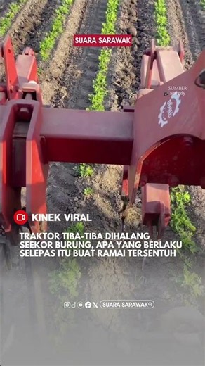 Traktor Tiba-Tiba Dihalang Seekor Burung, Apa Yang Berlaku Selepas Itu Buat Ramai Tersentuh