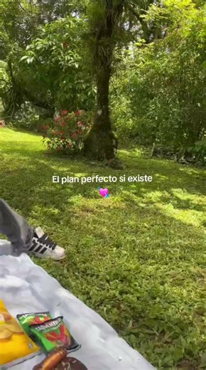 Picnic perfecto con tu pareja: ideas y plan romántico