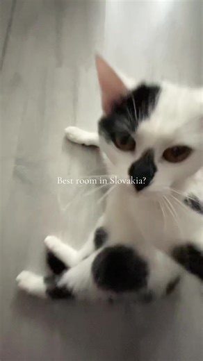 Guys maybe no more video for 3 days i am sick🤒 #room #bestroom #setup #windowsetup #fyp