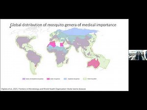 Mosquito control: evolving strategies against a global threat