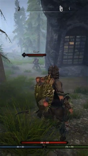 Летающий бандит в скайриме #skyrim #shorts #rfab