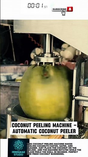 Coconut Peeling Machine – Automatic Coconut Peeler