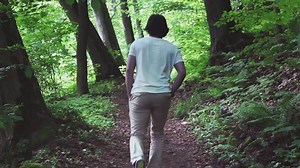 Walk through a forest with a lot of vegetation - Free Stock Video