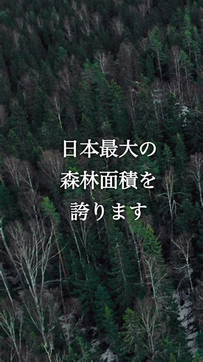 北海道の〇〇面積、日本最大⁈ #北海道 #森林 #北海道の森 #トドマツ #エゾマツ #森林浴 #自然 #雑学 #雑学ショート