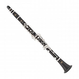 Buffet Crampon Prodige Clarinet for Students B Flat