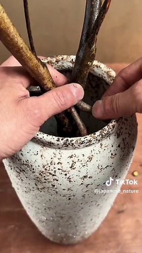 Ikebana: The Art of Japanese Flower Arrangement