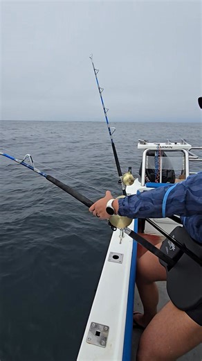 Dassen Eiland Visvang on Reels