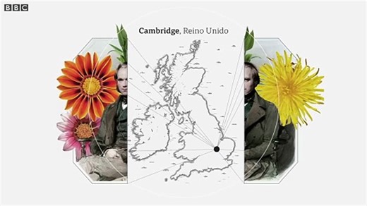 Evolución vs Dios: por qué la teoría de Darwin fue revolucionaria