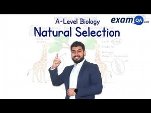 Natural Selection | GCSE & A-Level Biology
