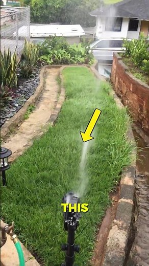 This Motion Sprinkler Protects Your Yard