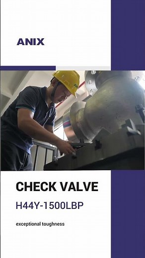H44Y-1500LBP Check valve-ANIX