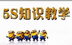 5S知识教学视频