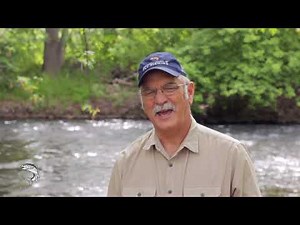 Fly Fishing Wading Safety, How to Wade River Safely Using a Wading Staff