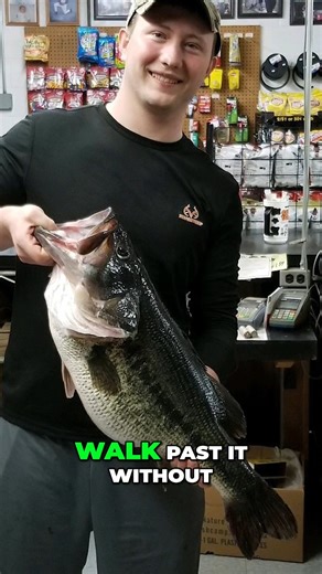 The State Record Largemouth! It was caught on Good Friday in 2019 by Mark Ward, of Harlan County... #fish #fishing #bass #largemouthbass #ky #kentucky #outdoors | Kentucky Afield
