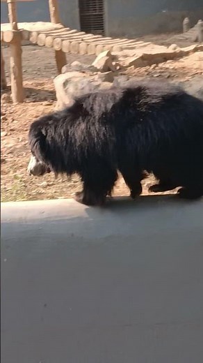 this is called balancing 😂