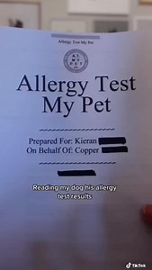 13K views · 366 reactions | Mini Husky NOT Happy About His Allergy Test Results  | Life With Klee Kai | Facebook