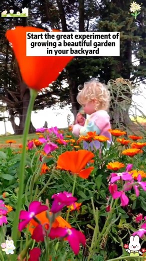 6.7K views · 58 reactions | Last fall I sowed this assortment of perennial flower seeds packand by spring, my garden transformed into a vibrant tapestry! More than 40 varieties brought life and cheer to every corner. These flowers thrived over winter and brightened my days for several months. Let your spring garden become the beautiful sanctuary you’ve always needed!✨ | Literalous=f | Facebook