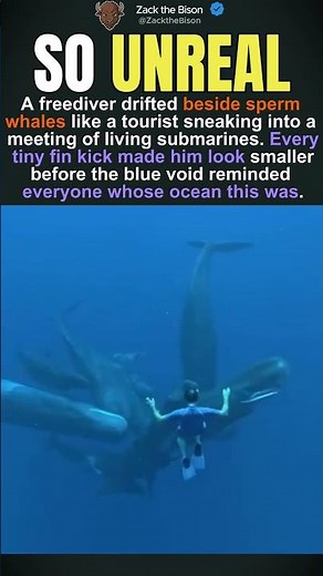 Sperm Whales Living Submarine Meeting