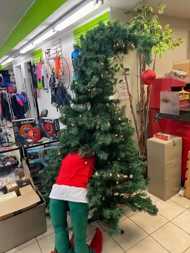 I am true believer in putting lights on the very inside of the tree #Christmas #laughter #decorations #ponoka | Redneck Barbie Inc