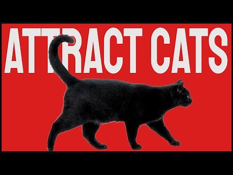 This Crazy Sound Will Make Cats Come To You - Sounds To Attract Cats