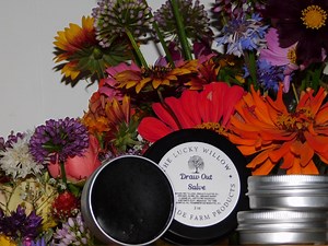 Tallow Draw Out Salve: Natural Skin Impurity Treatment - Etsy Australia