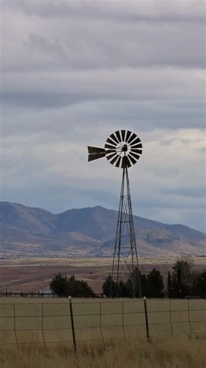 Birding Las Cienegas SWA in Sonoita, Arizona