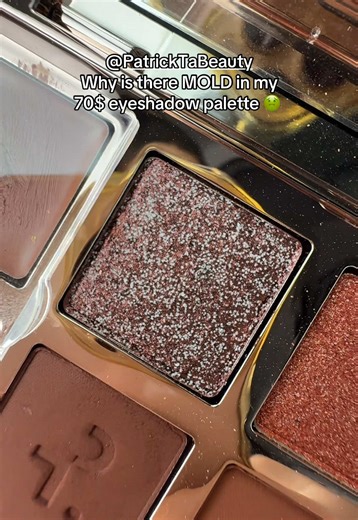 Shocking Discovery of Mold in High-End Eyeshadow Palette