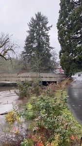 Here’s a look at current Fanno Creek Trail conditions. With the recent heavy rain, please avoid flooded areas and watch for standing water on roads. Stay safe out there! #tigardoregon | Tigard Public Works