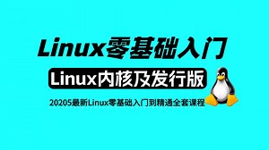 2025最新！【Linux零基础入门】之七、Linux内核及发行版讲解，持续更新Linux全套课程实录，建议码住！