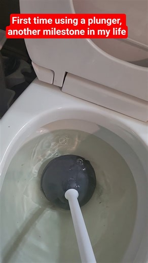 Unplugging a toilet turned out to be a piece of a cake #home #bathroom #repair #housework #selfhelp