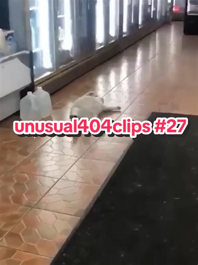 unusual404clips on TikTok