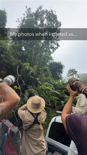 Sergei Ortinov on Instagram: "Photography rarely rewards a straight and simple path. It’s built from mistakes, missed frames, wrong settings and gradually understanding light, color and timing more deeply. Revisiting my older work shows how much patience and persistence influence progress. The biggest change isn’t just technical skill - it’s intention, awareness and learning when to wait. 📸 Sony Alpha 1 🔍 Sony FE 300mm f2.8 #wildlifephotography"