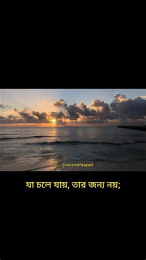 সব হারানো জিনিসকেই ফিরে পাওয়া যায় না 🖤 | bengali poetry | #bengalipoetry