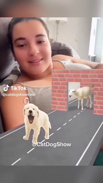 Funny and heartwarming moments with cats and dogs, bringing joy and smiles! #pet #cats #dog #catsoftiktok #dogsoftiktok