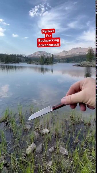 Jackalopes are real: uncovering the truth in the outdoors