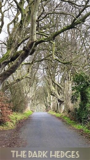 The Dark Hedges, County Antrim, Northern Ireland. #darkhedges#northernireland#gameofthrones#woods