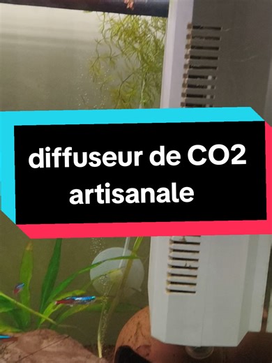 Créez votre diffuseur de CO2 artisanal pour aquarium