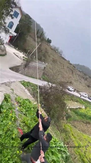 Why a Rope Can Snap When Pulling a Tree | Safety Alert