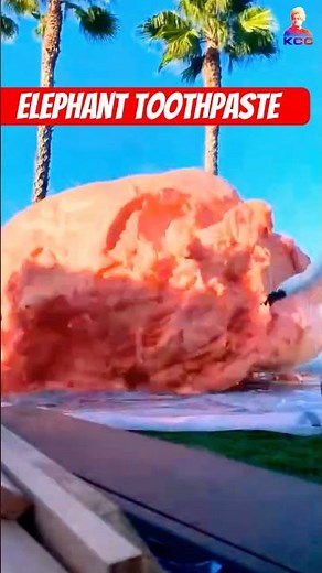 elephant toothpaste experiment | science experiments |#experiment #science