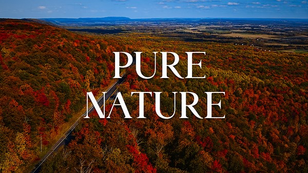 Pure Nature in 4K – A Calm Escape from Noise
