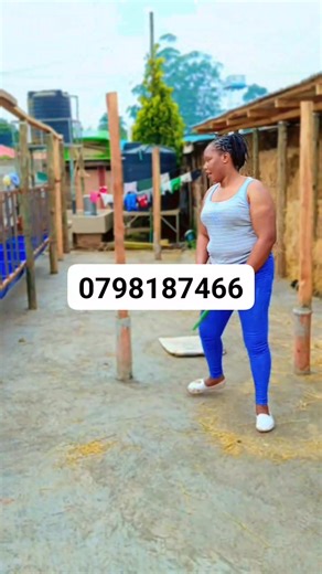 105K views · 1K reactions | Cow shed construction  | FarmX | Facebook