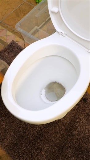 5-Minute Crafts Recycle | Grafting plants techniques to get multiple species in one 🌼🌵🌸 #plantpropagation #multiplespecies #gardening | Instagram