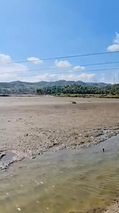 79K views · 782 reactions | NONECO General Manager Engr. Wilbe Bilbao...