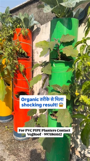 PVC pipe planters se gardening hui aur bhi easy Chhoti jagah mein zyada plantation, strong & long-lasting solution 🌱 Terrace, balcony aur rooftop ke liye perfect choice For PVC PIPE Planters 📞 Contact VegRoof – 9971861612 #pvcpipeplanters #verticalgardening #terracegarden #balconygarden #kitchengarden | Veg Roof Page