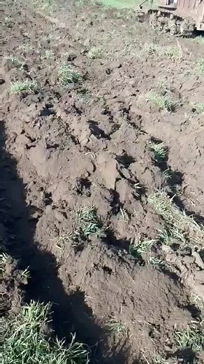 Old Rusted Tractor in Action Across Open Fields